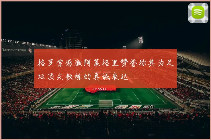 格罗索感激阿莱格里赞誉称其为足坛顶尖教练的真诚表达